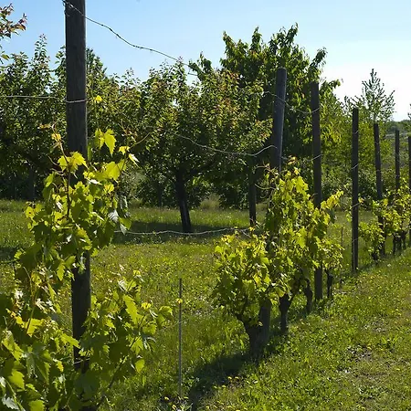 Cascina San Giorgio Vakantieboerderij *
