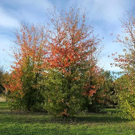 Vakantieboerderij Cascina San Giorgio Valenza