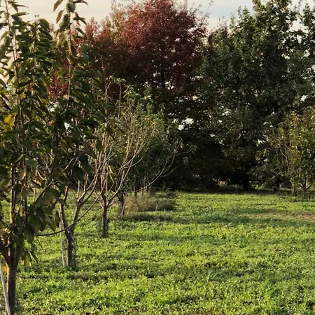 Farm stay Cascina San Giorgio Valenza