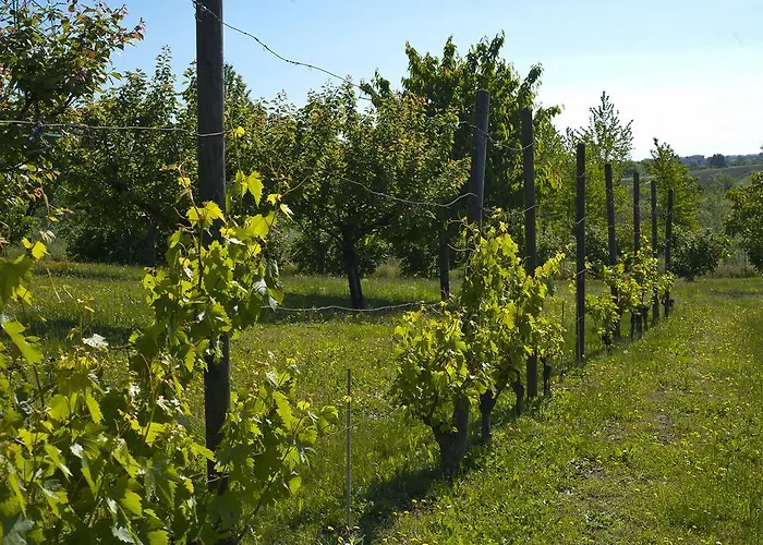 Cascina San Giorgio مزرعة للإقامة *