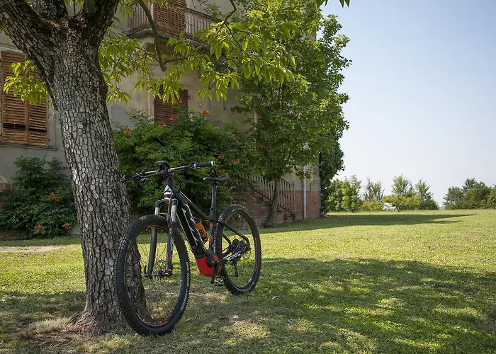 Cascina San Giorgio * فالينزا