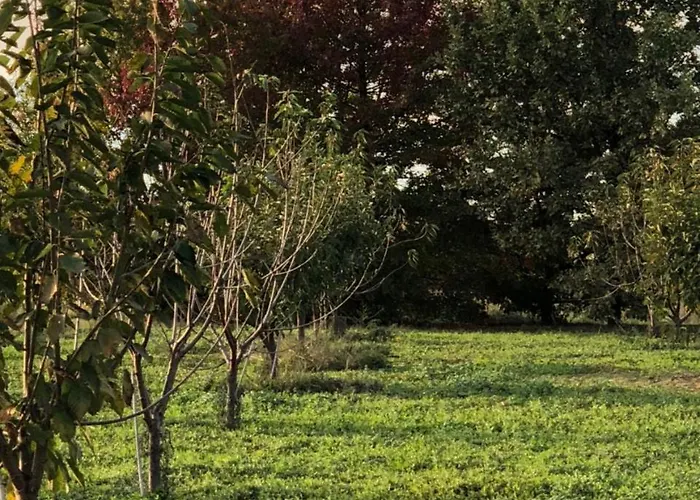 مزرعة للإقامة Cascina San Giorgio فالينزا