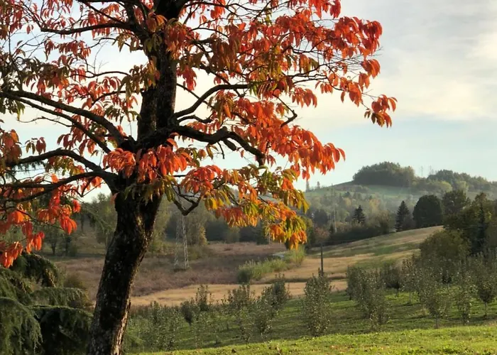 Cascina San Giorgio مزرعة للإقامة